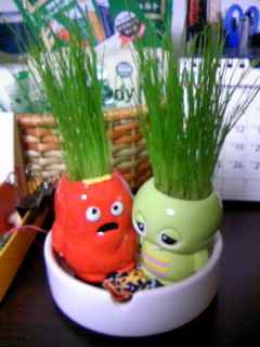 090510_190658.JPG 240��320 32K